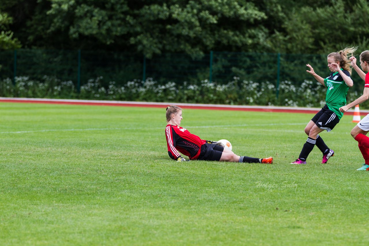 Bild 193 - C-Juniorinnen Landesmeister Finale SV Wahlstedt - TuRa Meldorf : Ergebnis: 1:4